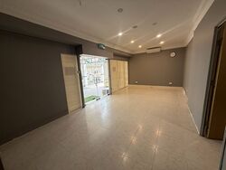 Hougang Avenue 1 (D19), Shop House #611447471
